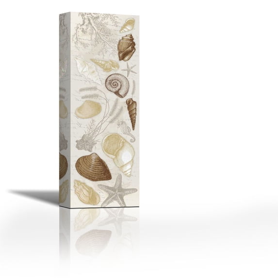 Shells - Contemporary Fine Art Giclee on Canvas Gallery Wrap - wall décor - Art painting - 12 x 36 Inch - Ready to Hang
