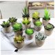 thumbnail image 3 of BESTYASH Falsa Decorativa Verde Ideal Para Estantes, Escritorios Y Balcones, 3 of 4