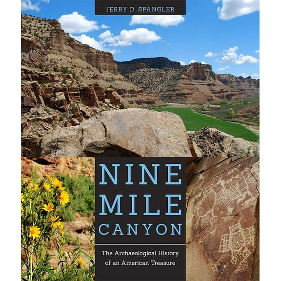 Nine Mile Canyon : The Archaeological History of an American Treasure (Paperback)