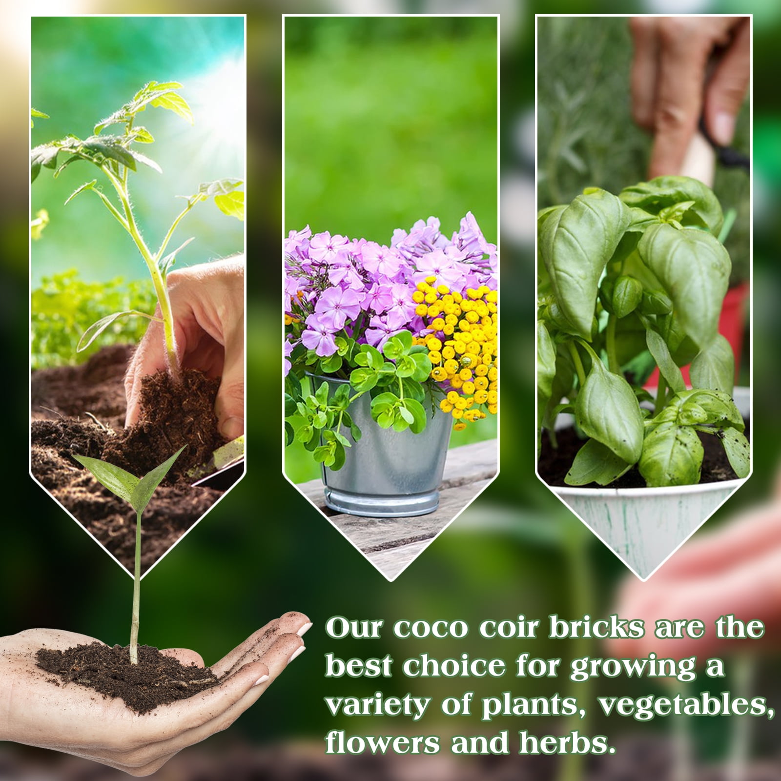 Halatool 6PCS Organic Coconut Coir Bricks Compressed Coco Coir Brick Nutrient Garden Soil with Low EC & pH Balance Premium Starting Soil Coconut Fiber Substrate for Plants Flowers Reptiles