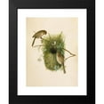 thumbnail image 2 of Robert Ridgway 14x18 Black Modern Framed Museum Art Print Titled - The North American Vogelwelt Pl09 (1891), 2 of 5