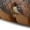 CAMEL MULTI, variant on Women's Kathaleta Premium Leather Slip-On Moccasin Shoes – Comfortable Flat Shoes with Removable Insole, Rubber Sole & Elegant Stitch Detailing