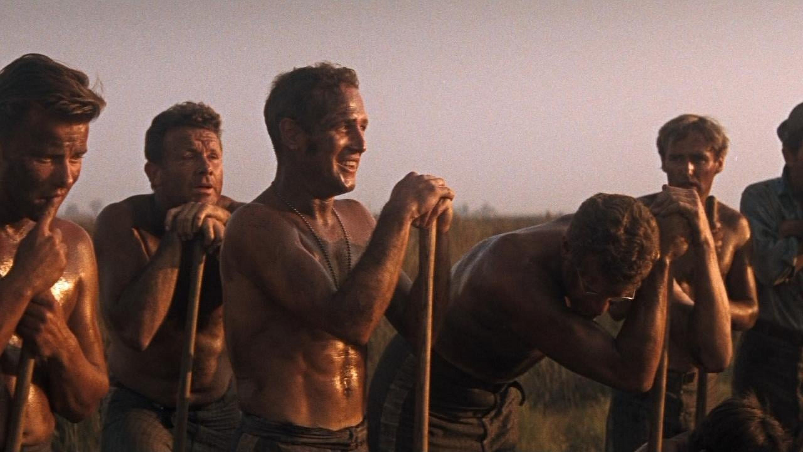 Cool Hand Luke - Deluxe Edition (DVD), Universal Import, Drama