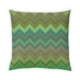 thumbnail image 1 of Ahgly Company Indoor Square Contemporary Throw Pillow, 18 inch by 18 inch, 1 of 5