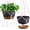 Black, variant on Diigabo 3-Pack 8-inch Self-Watering Hanging Planters with Macrame Hanger Indoor Plastic Plant Pots with Drainage Hole&Saucers Flower Baskets for Outdoor Garden Home Ceiling Decor(White)
