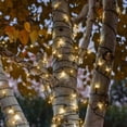 thumbnail image 1 of Guirlande lumineuse solaire Hometrends 100 points blanc chaud, 1 of 1