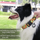 thumbnail image 5 of Collar de perro militar para perros medianos grandes, collares de nailon ajustables con asa, 5 of 6