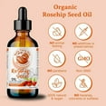 thumbnail image 3 of Organic Cold-Pressed Rosehip Seed Oil 100% Pure Raw Skin Hair Face Anti-Aging, 3 of 8