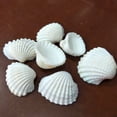 thumbnail image 2 of Conchas marinas naturales para decoración DIY, paisajes acuáticos, manualidades y más – variedad de tamaños y estilos, ideal para bodas, fiestas y decoración del hogar., 2 of 6