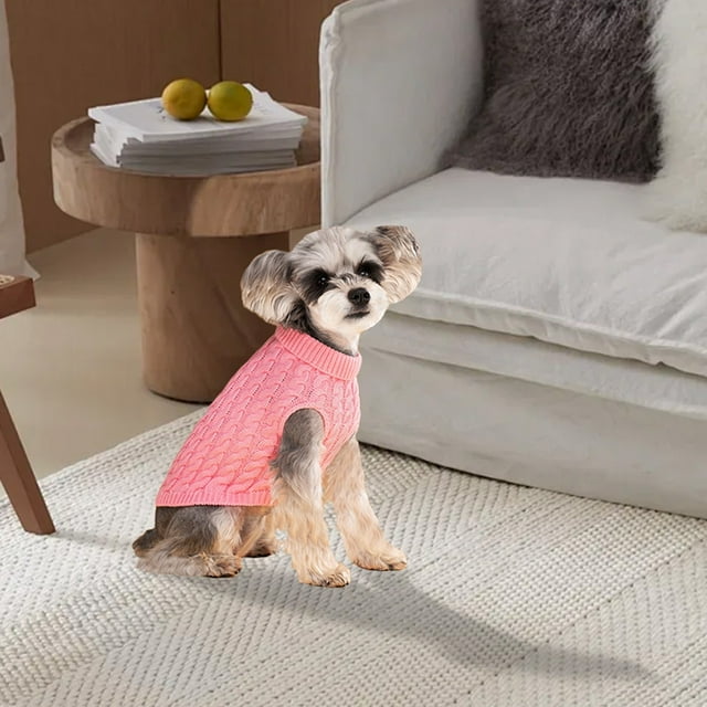 Modern Minimalist Style Dog Sweater For Warmth And Comfort During Cold Weather Adventures