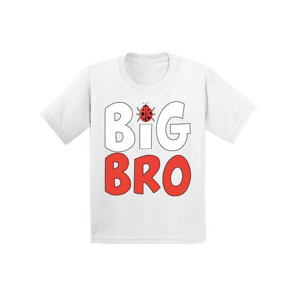 Awkward Styles Cute Ladybug Clothing Ladybug Shirts Big Brother Baby Announcement Youth Shirt for Boys Pregnancy Announcement T Shirt for Kids Big Bro Youth T-Shirt Ladybug Clothes Collection