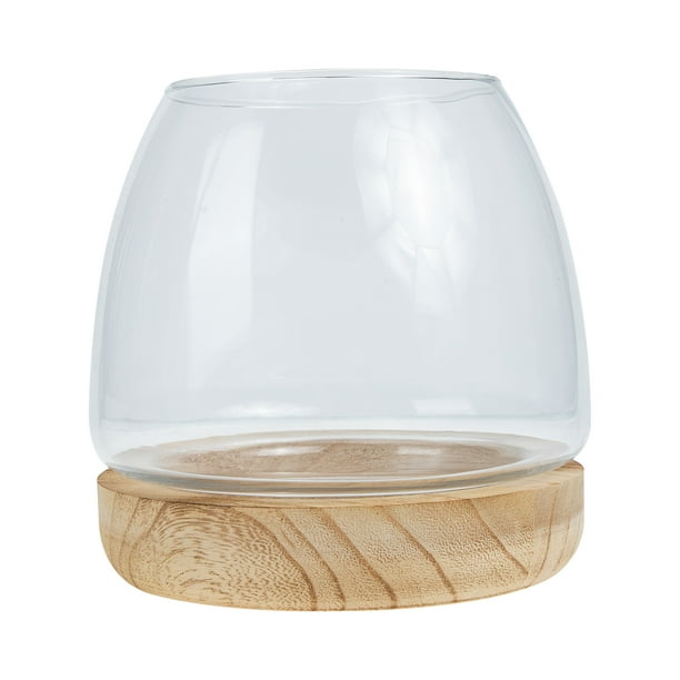 ColoMX Jarrón de cristal hidropónico, botella ecológica, jarrón decorativo, pecera pequeña