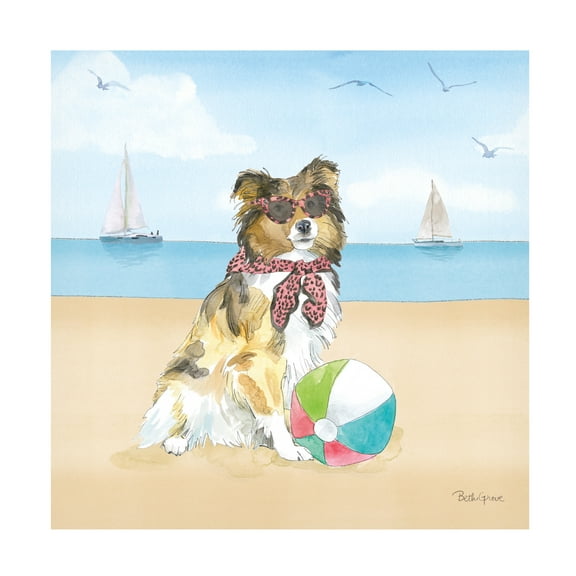 Beth Grove 'Summer Paws V No Words' Canvas Art