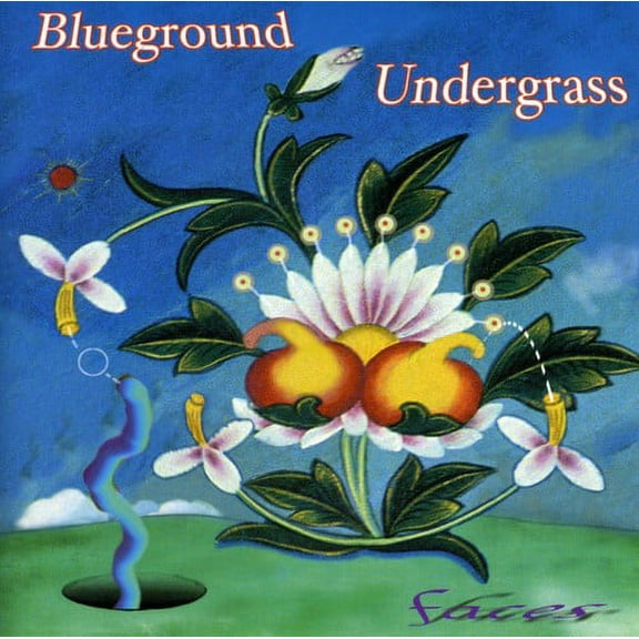 Blueground Undergrass - Faces - Music & Performance - CD