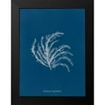 thumbnail image 2 of Wild Apple Portfolio 15x18 Black Modern Framed Museum Art Print Titled - Delicate Coral II, 2 of 5