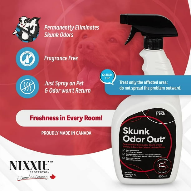How to Treat a Dog Sprayed by Skunk: Quick & Effective Remedies
