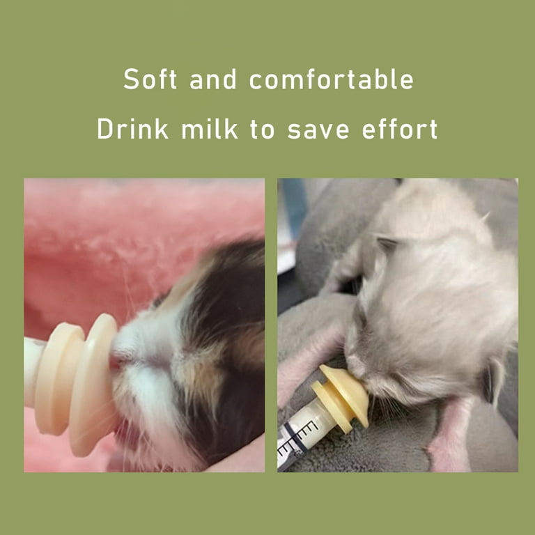 How Much To Feed Newborn Kittens