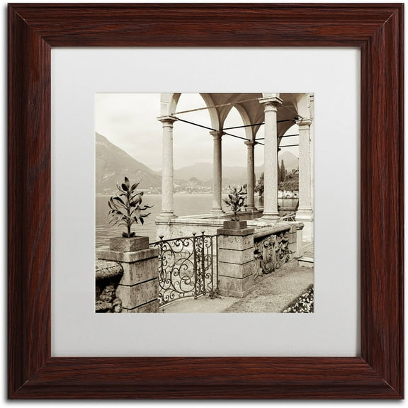 Trademark Fine Art "Lombardy VII" Canvas Art by Alan Blaustein, White Matte, Wood Frame