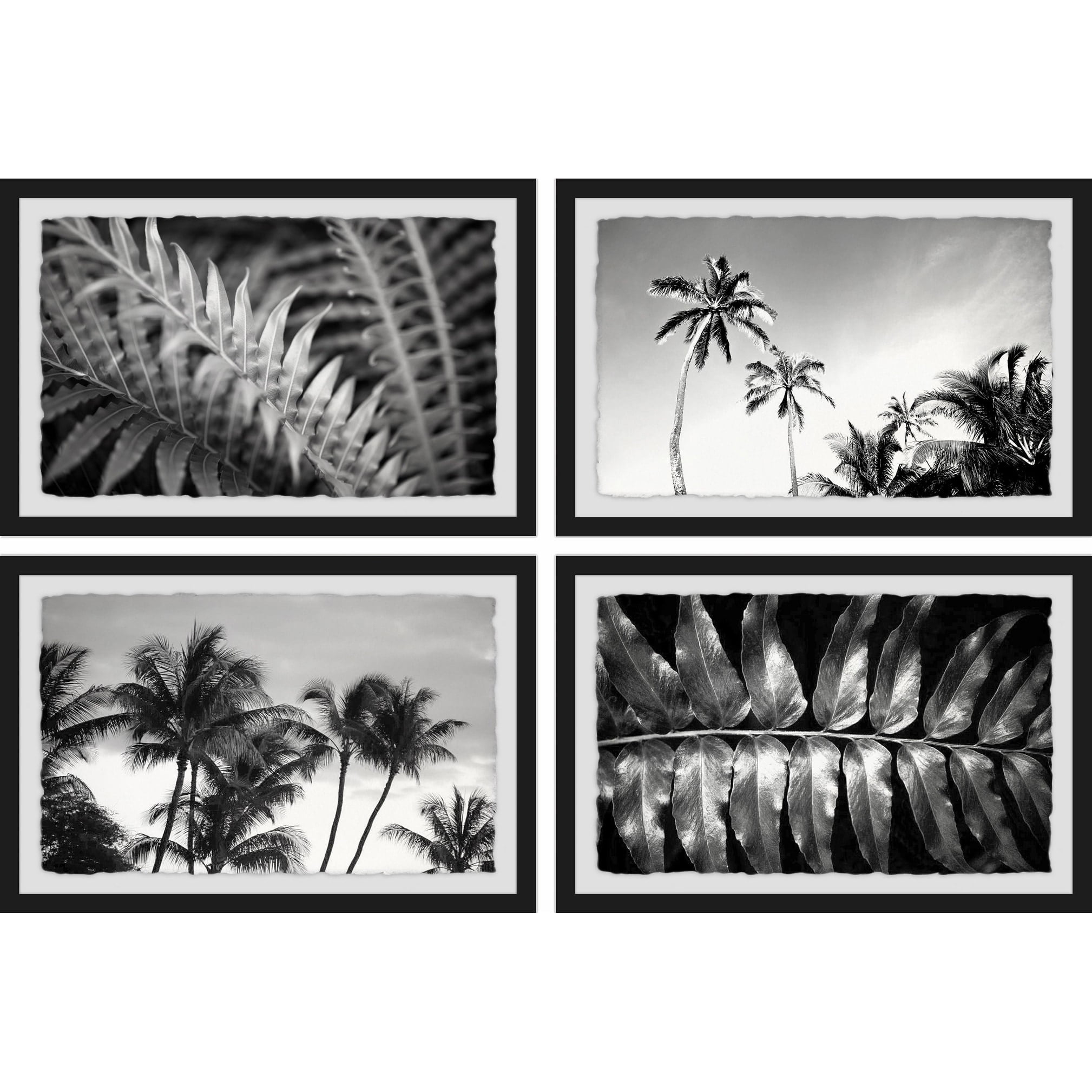 Palm Trees Quadriptych