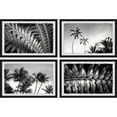 thumbnail image 3 of Palm Trees Quadriptych, 3 of 5