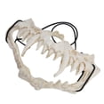 thumbnail image 4 of Skull , Lightweight Cosplay  Latex Durable  For Theater For Party For Festival, 4 of 8