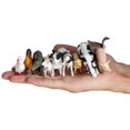 thumbnail image 5 of 12 Ensembles de Simulation Colorée de Volaille et Petits Animaux Modèle Ornements, 5 of 5