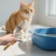 thumbnail image 2 of Pala de acero inoxidable para arena de gatos, con orificios grandes y finos, para limpieza de cajas de arena, tamizado eficiente para arena mixta de bentonita y eliminación de desechos de mascotas., 2 of 6