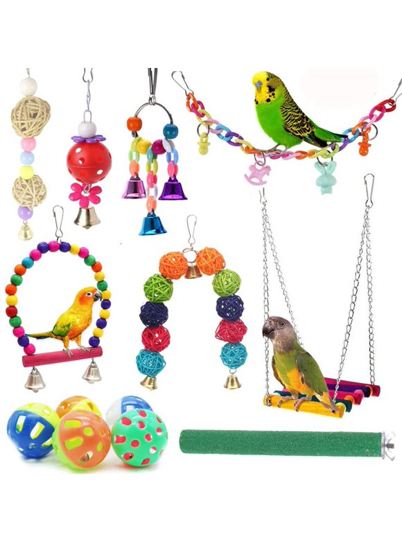 Bird Toys in Birds
