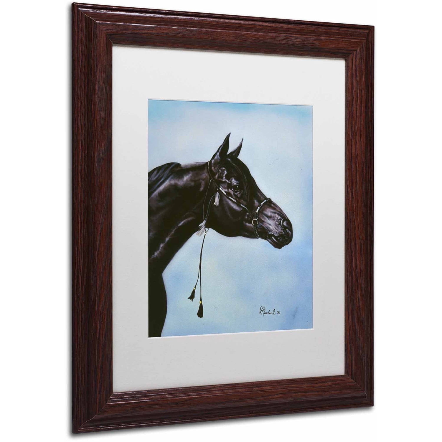 Trademark Fine Art 'Black Arabian' Canvas Art by Jenny Newland, White Matte, Wood Frame