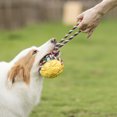 thumbnail image 3 of Vibrant Life Rubber Ball with Rope Dog Toy, 3 of 3