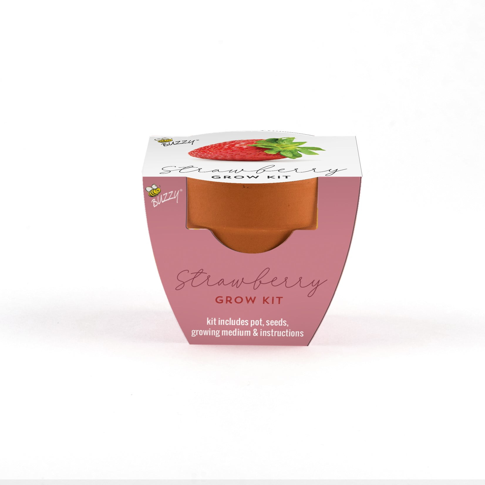 Buzzy Mini Terra Cotta Grow Kit Guaranteed to Grow Strawberry