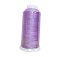 thumbnail image 2 of Rongfmy Fil pour Machine à Broder Phosphorescent Coloré pour Broderie Violet, 2 of 9