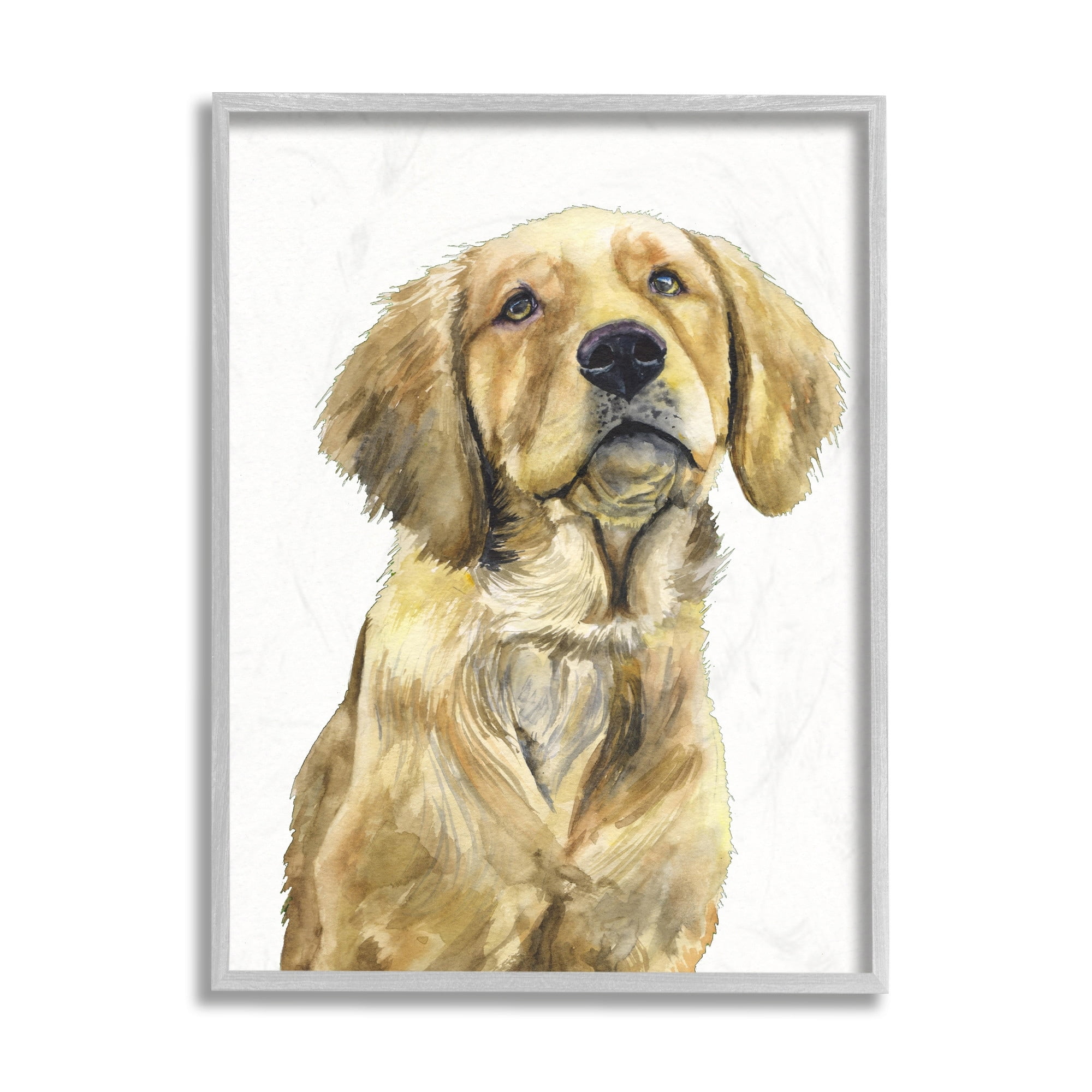 Stupell Industries Golden Retriever Puppy Portrait Soft Yellow Dog Grey Framed, 11 x 14, Design by George Dyachenko