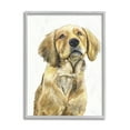 thumbnail image 5 of Stupell Industries Golden Retriever Puppy Portrait Soft Yellow Dog Grey Framed, 11 x 14, Design by George Dyachenko, 5 of 5