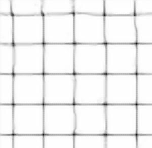 Tenax Garden Netting - Pond & Plant Net, Bird Netting - 7' x 100' - High Density Polyethylene