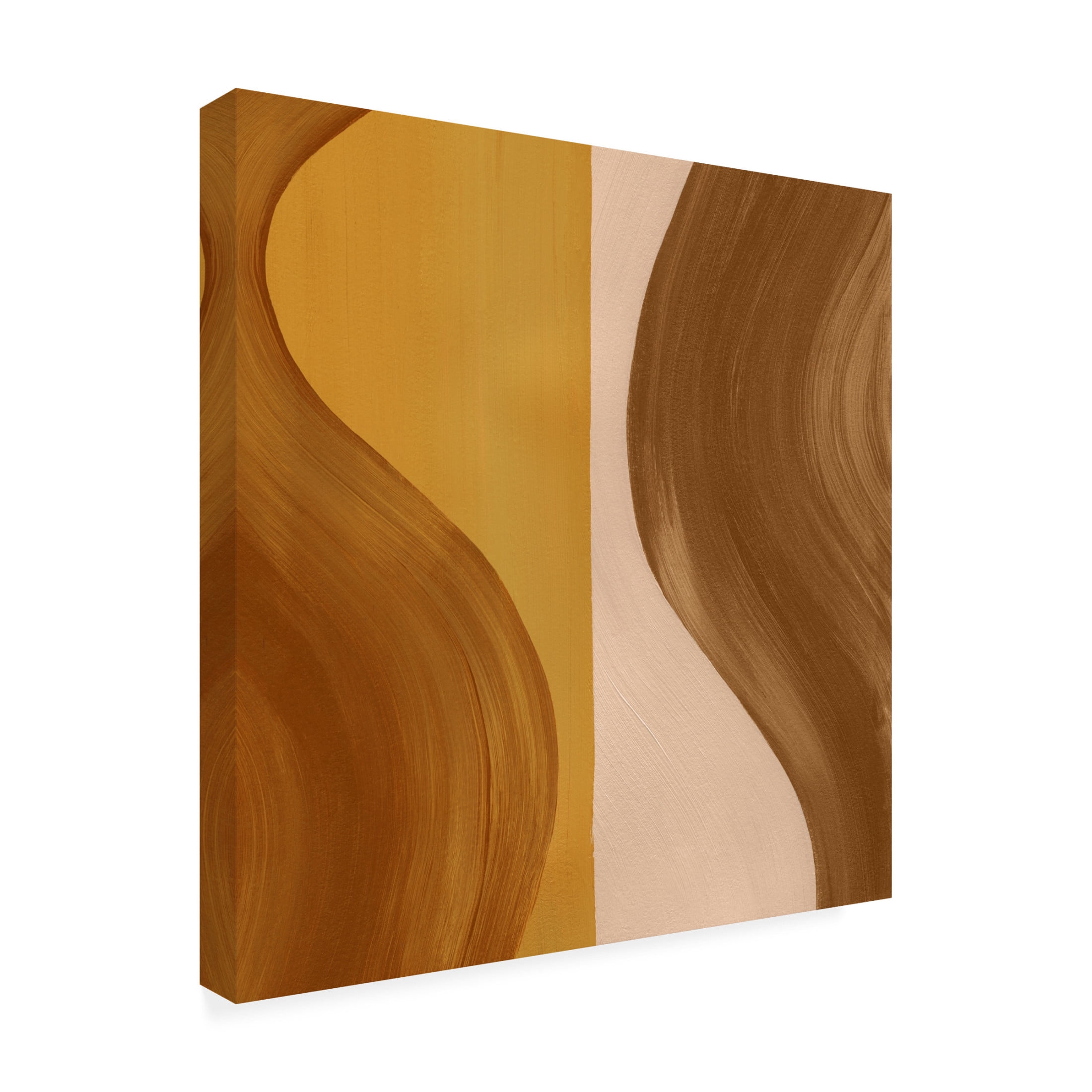 Trademark Fine Art Grace Popp  Wavy Clay II Canvas Wall Art