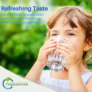 AQUALINK 4396701 Replacement Compatible with Whirlpool EDR6D1 Refrigerator Water Filter,2PACK