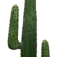 thumbnail image 3 of Vickerman 49" Artificial Cactus In Black Pot., 3 of 5