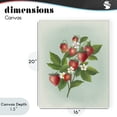 thumbnail image 4 of Stupell Industries Traditional Vintage Strawberry Bundle Canvas Art, 16 x 20, by Diane Neukirch, 4 of 8