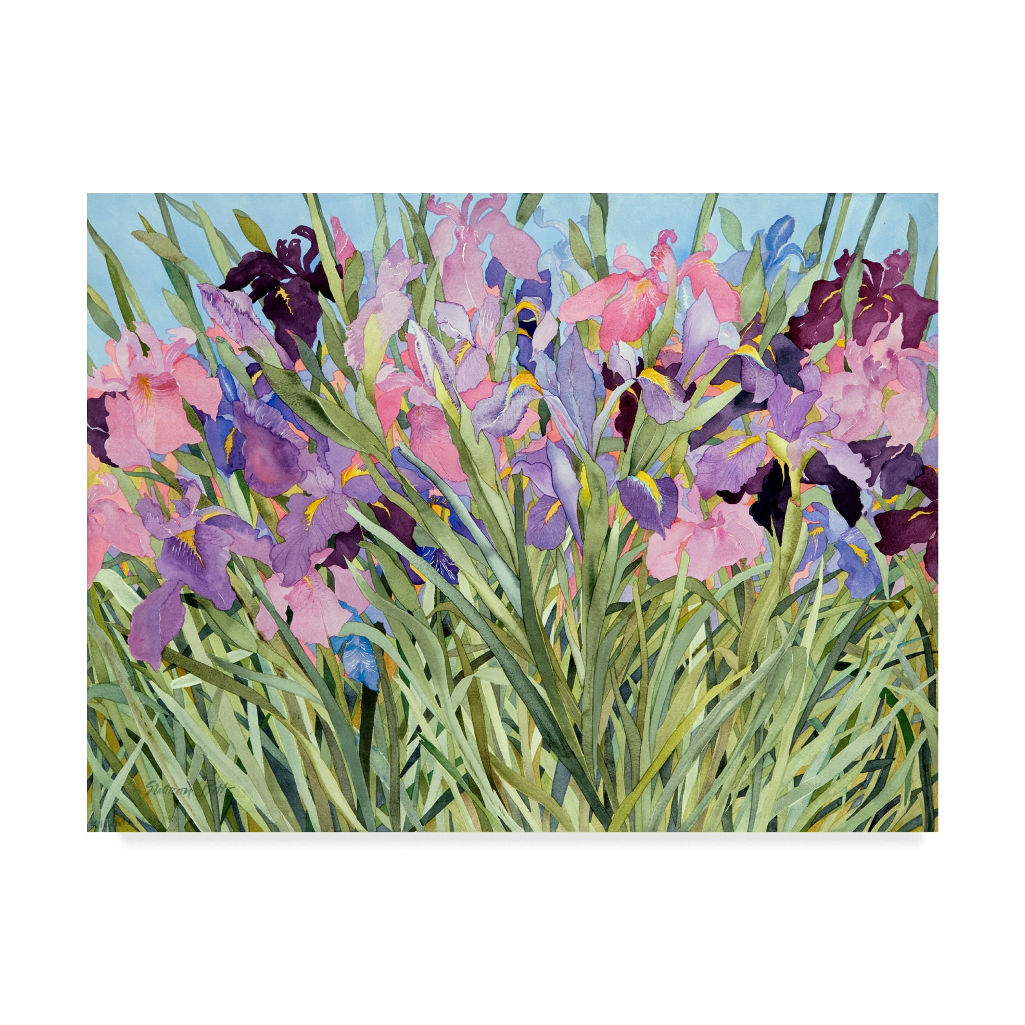 Trademark Fine Art 'Iris Garden 2' Canvas Art by Sharon Pitts - Walmart.com