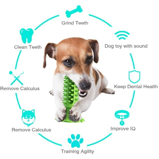 Chew toys to clean dogs teeth 2025