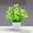H, variant on QAQuu Artificial Potted Plants – Small Greenery for Home Decor, Perfect for Indoor Tabletop and Shelf Displays