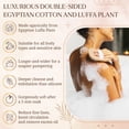 thumbnail image 4 of Body Scrubber Crafts of Egypt - Almohadilla para lufa natural egipcia (paquete de 2 unidades), 4 of 7