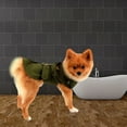 thumbnail image 4 of Gabardina para mascotas para perros pequeños, niña y niño, chaqueta occidental a prueba de viento, ropa de abrigo con cinturón, ropa para perros de otoño e invierno para cachorros (verde), 4 of 5