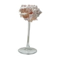 thumbnail image 2 of Copa de champán con forma de caracola, regalo de Navidad, copas de Martini únicas para adultos D, 2 of 9