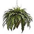 thumbnail image 3 of Nearly Natural 6872 26" Giant Boston Fern with Cone Hanging Basket, 3 of 4