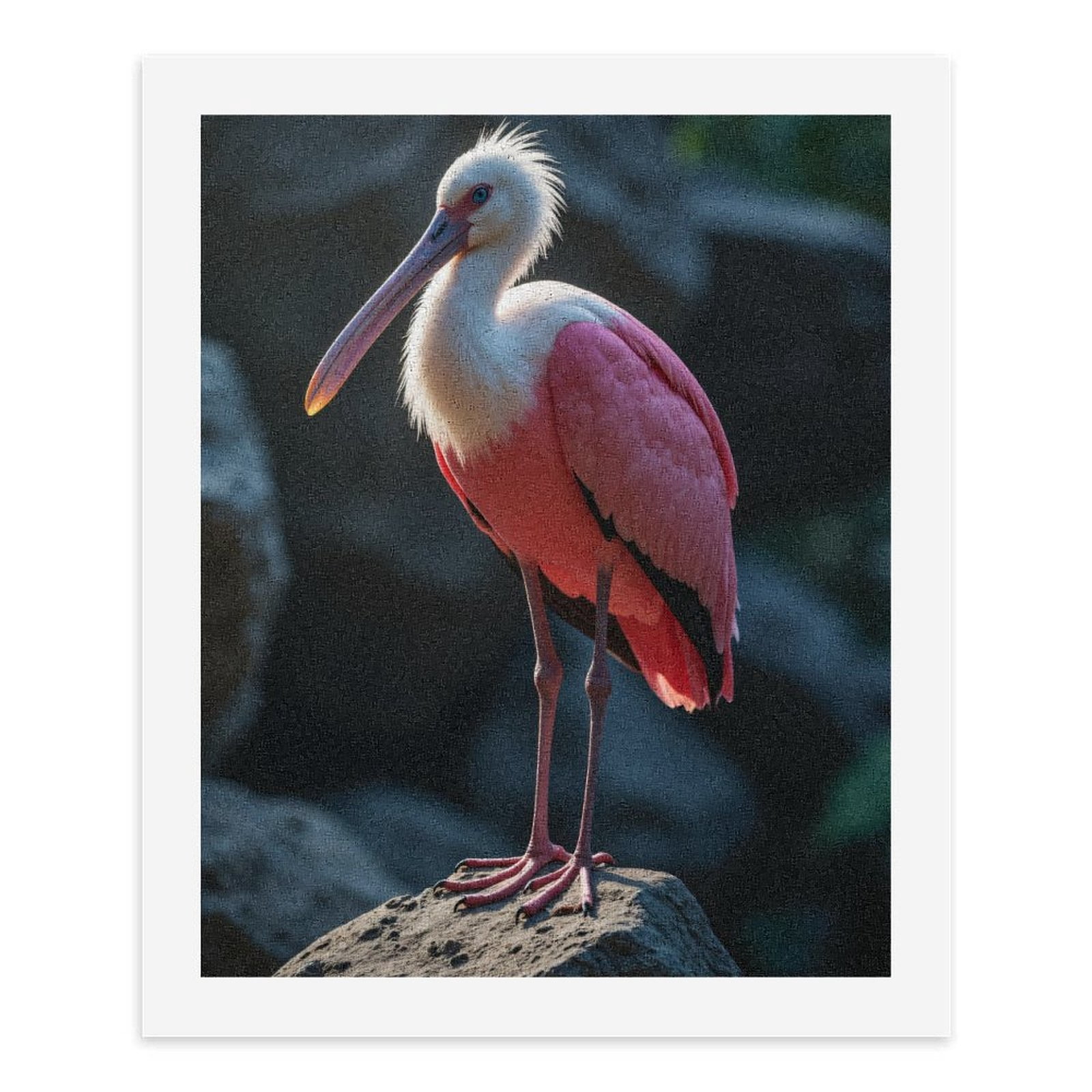 Paint By Numbers Kit for Adults Beginner - Feathered Elegance On Rocks DIY Canvas Painting Kits for Adults, Frameless Paint By Number for Adults for Home Wall Decor 16x20 Inch