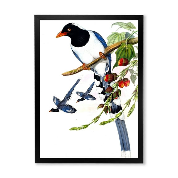 Designart 'Vintage Countryside Birds On Branch IV' Farmhouse Framed Art Print