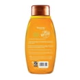 thumbnail image 2 of Shampoo Aveeno apple cider vinegar 354 ml, 2 of 2