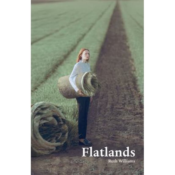 Pre-Owned Flatlands (Paperback) 1625579896 9781625579898